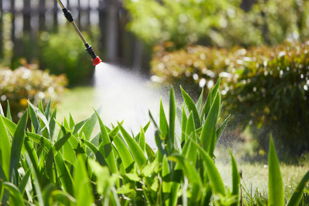 24/7 Emergency Cockroach Control experts in Broken Bow, OK