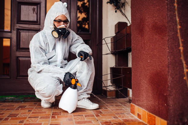 Reliable Cockroach Control contractor in Broken Bow, OK by Nex Pest Control